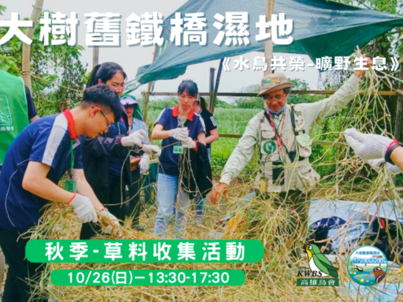 【大樹舊鐵橋】 秋季活動～🍀草料收集活動